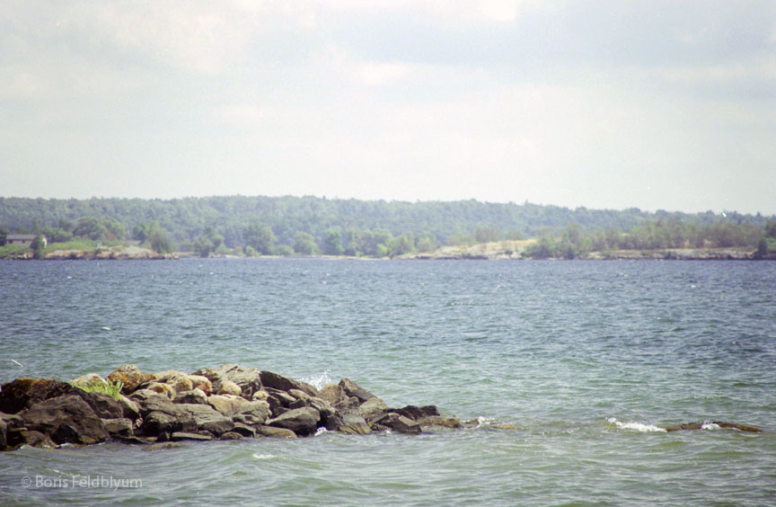 20010821001sc_St_Lawrence_riv_Charleston_lake