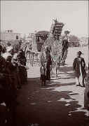 Camels used for carrying bridal party to wedding_01w.jpg (53068 bytes)