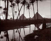 The three pyramids seen through palm grove_01w.jpg (59075 bytes)