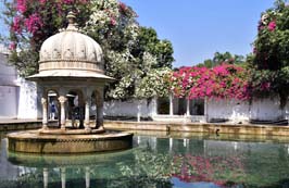 20181029393sc_Udaipur_Sheliyon_gardens
