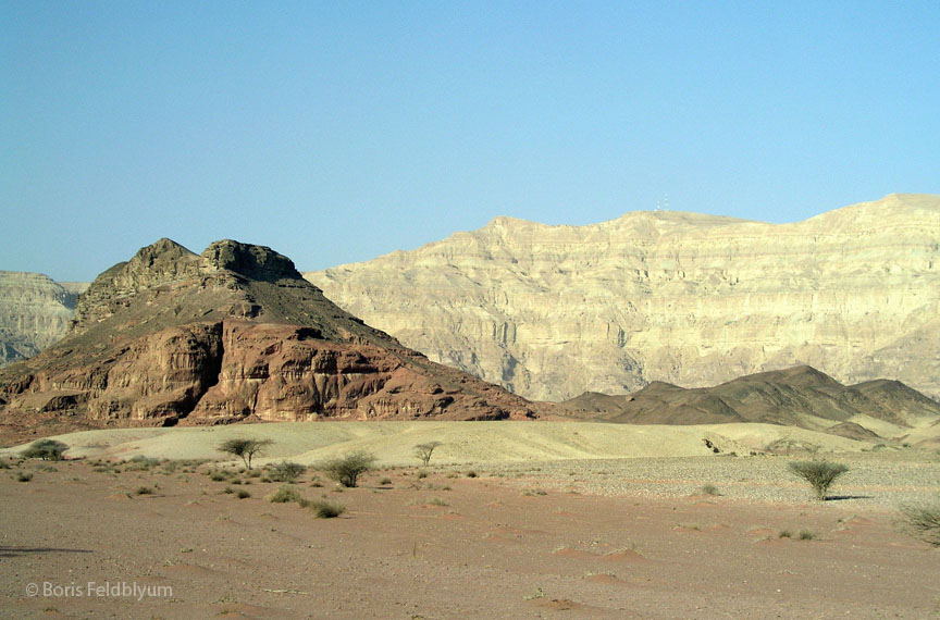 20050129189sc_timna