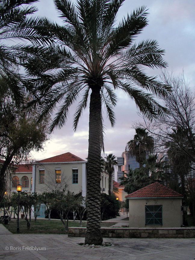 20050131359sc_tel-aviv