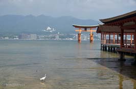 20170713154sc_Miyajima_Is_Itsukushima_Shrine