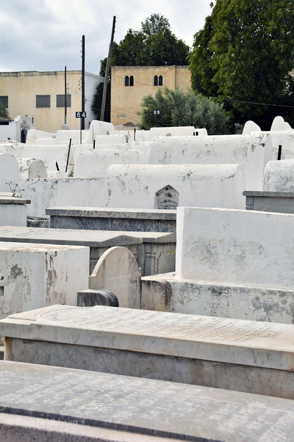 201904070772sc_Fez_Jewish_Cemetery