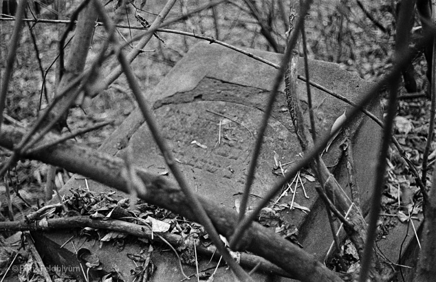 19711123005sc__Kiev_Jewish_Cemetery