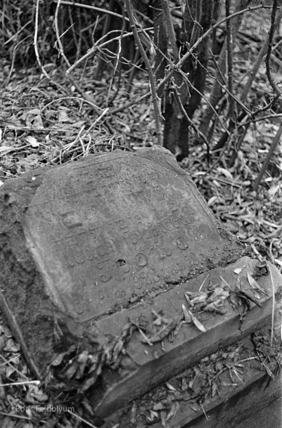 19711123006sc__Kiev_Jewish_Cemetery