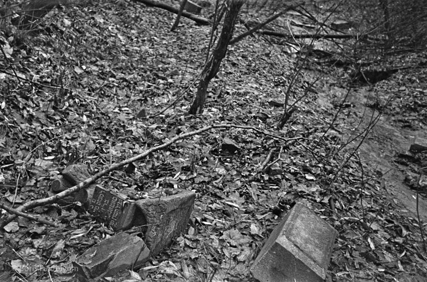 19711123012sc__Kiev_Jewish_Cemetery