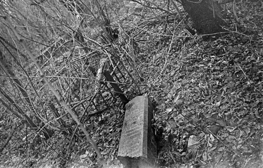 19711123017sc__Kiev_Jewish_Cemetery