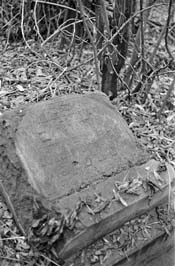 19711123006sc__Kiev_Jewish_Cemetery