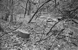 19711123016sc__Kiev_Jewish_Cemetery