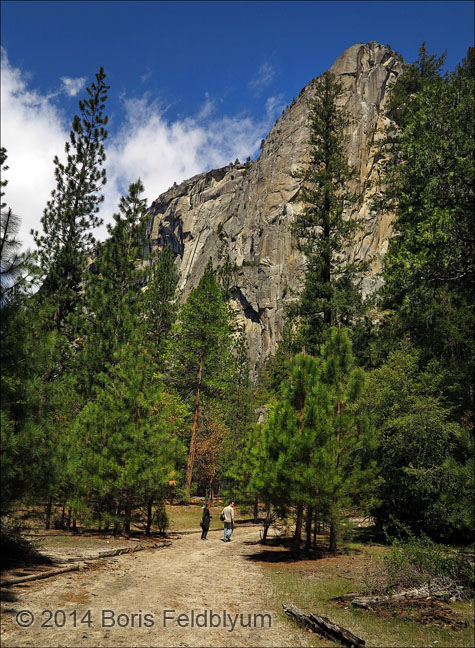 20140427024sc_Yosemite_ref2