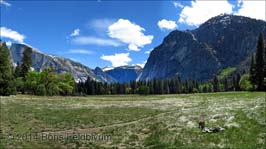 20140427093sc_Yosemite_ref2