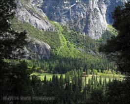 20140427119sc_Yosemite_ref2