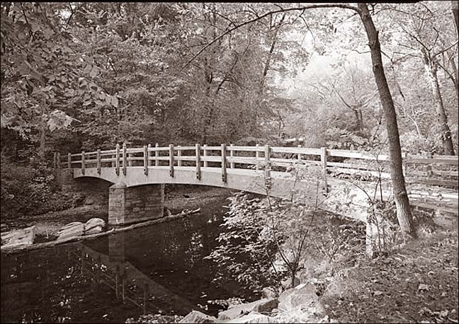 Bluffs Footbridge_01