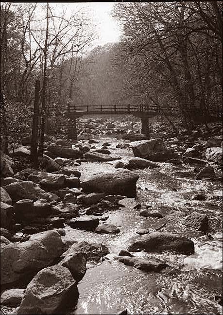 Rapids Footbridge_01