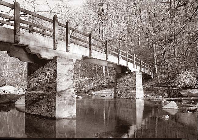 Rapids Footbridge_03