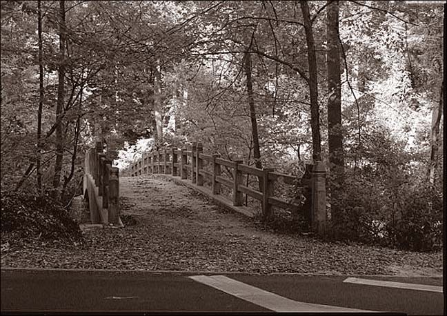 Riley Springs Footbridge_01