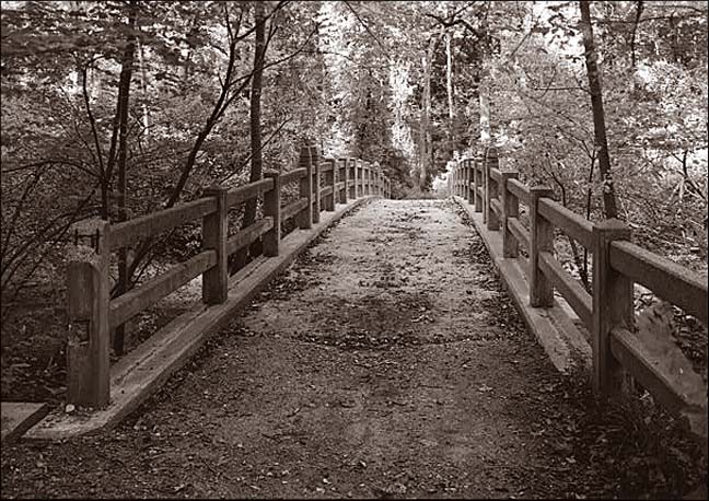 Riley Springs Footbridge_02