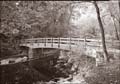 Bluffs Footbridge_01