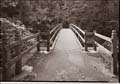 Bluffs Footbridge_02