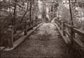 Riley Springs Footbridge_02