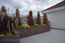20140819164sc_1275_PA_roof