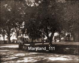 Maryland_111w