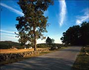 Gettysburg National Military Park Tour Roads, Gettysburg vicinity_05